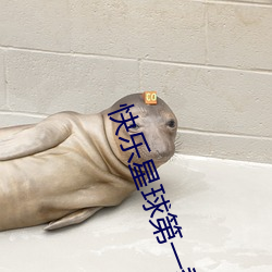 快乐星球第一季电视剧免费观看