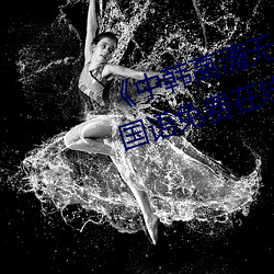 《中韩高(gāo)清无专(zhuān)码区(qū)2021曰》BD国语免(miǎn)费在线观看