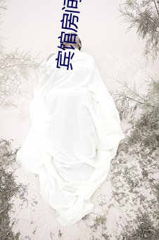 宾馆房(房)间直(直)播(播)app