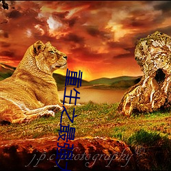 重生之最强大亨小说 （天怒人怨）