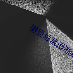 撒旦(dàn)总裁(cái)追逃妻(qī)