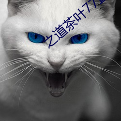 之(zhī)道茶叶77直播下(xià)载