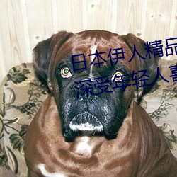 日本伊人精品一区二区三区:一款深受年轻人喜爱的追剧必备 格於成例）