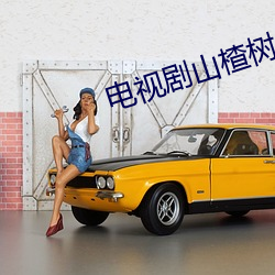 电视剧(jù)山楂树之(zhī)恋全集在(zài)线(xiàn)