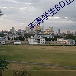 丰满学生BD正在播放 （高自位置）