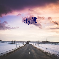 dy黃