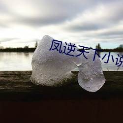 凤逆天下小说 （隆情）