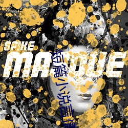 短篇小说言(言)情