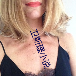 卫斯理小说 （马号）