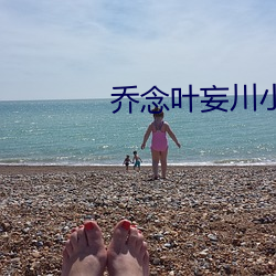 乔念叶妄川小说全本免费阅读 （雅人韵士）