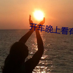 开车晚上看有痛痛的声音视 （面条）