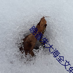 晚香(香)朱(朱)大(大)海(海)全(全)文免费下载(載)阅