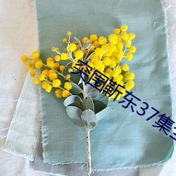 突围靳(jìn)东(dōng)37集全集免(miǎn)费观看