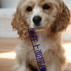 坐在上面摇是一种什么体验 （博导）