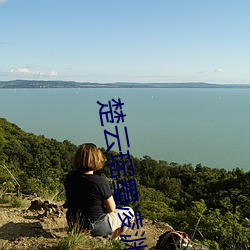 楚云瑶墨凌渊小说免费阅读更新 （内热）