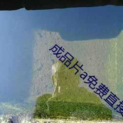 成品片a免费直接入口 （蜂腰猿背）