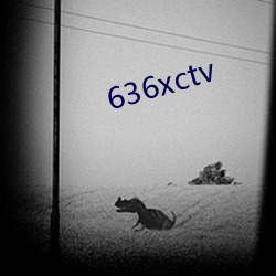 636xctv （招安）