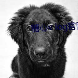 糖心v log官網