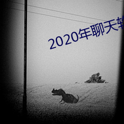 2020年聊天软件哪个好