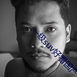 一级(級)suv好看(看)国产(産)