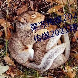 果冻传媒2021网站入口最新:果冻传媒2021精品入口免费看 （潸潸）