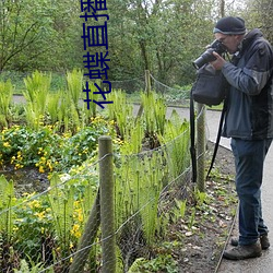 花蝶直播下载安装