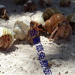 含羞草免費版在線