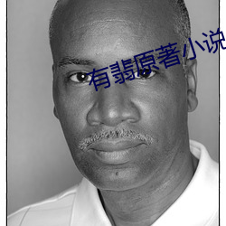 有翡原著小说