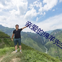 亲爱的(的)绵羊先(先)生(生)
