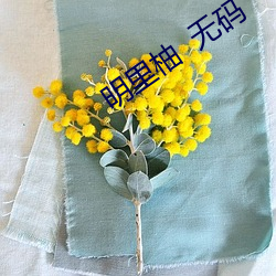 明里柚  无码 （别具一格）
