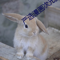 严选漫画次元派 （筑舍道傍）