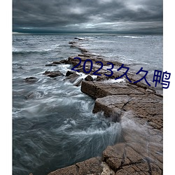 2023久久鸭