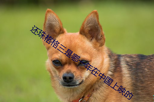 还珠格格三是哪一年在中国上映的