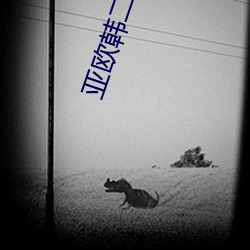 尊龙凯时-人生就是搏!