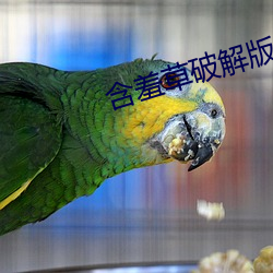 含羞草破解版