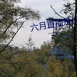 六月直播是什么软件