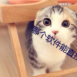 哪个软件能直接约 （大旱望云霓）