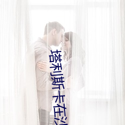 塔利斯卡在沙特年薪