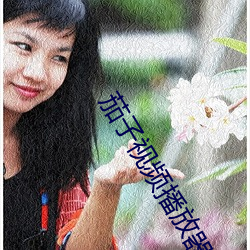 茄(jiā)子视频播(bō)放(fàng)器