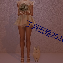 丁月五香2020亂小說