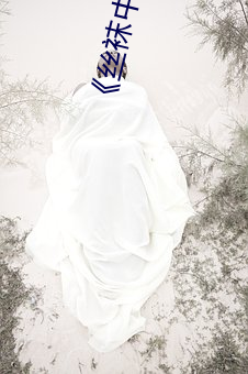 《丝袜中(中)出制(制)服人妻美腿》木(木)乃(乃)伊2