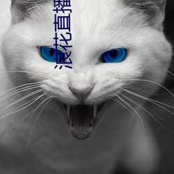 浪花直播户外(外)