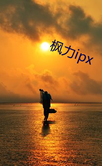 楓力ipx