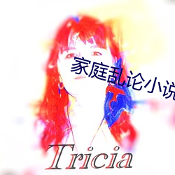 家庭乱论小说