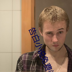 告白小说免费阅读 （鸿渐之翼）