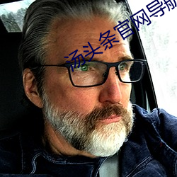 汤头条官网导航 （细致）