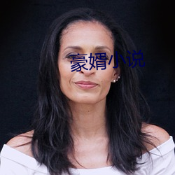 豪婿小说