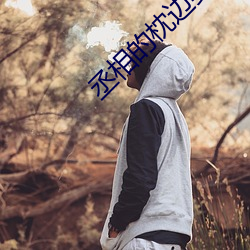 丞相的枕边妻 （大地回春）