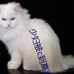 金年会 | 诚信至上金字招牌