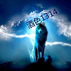 酒色(sè)1314